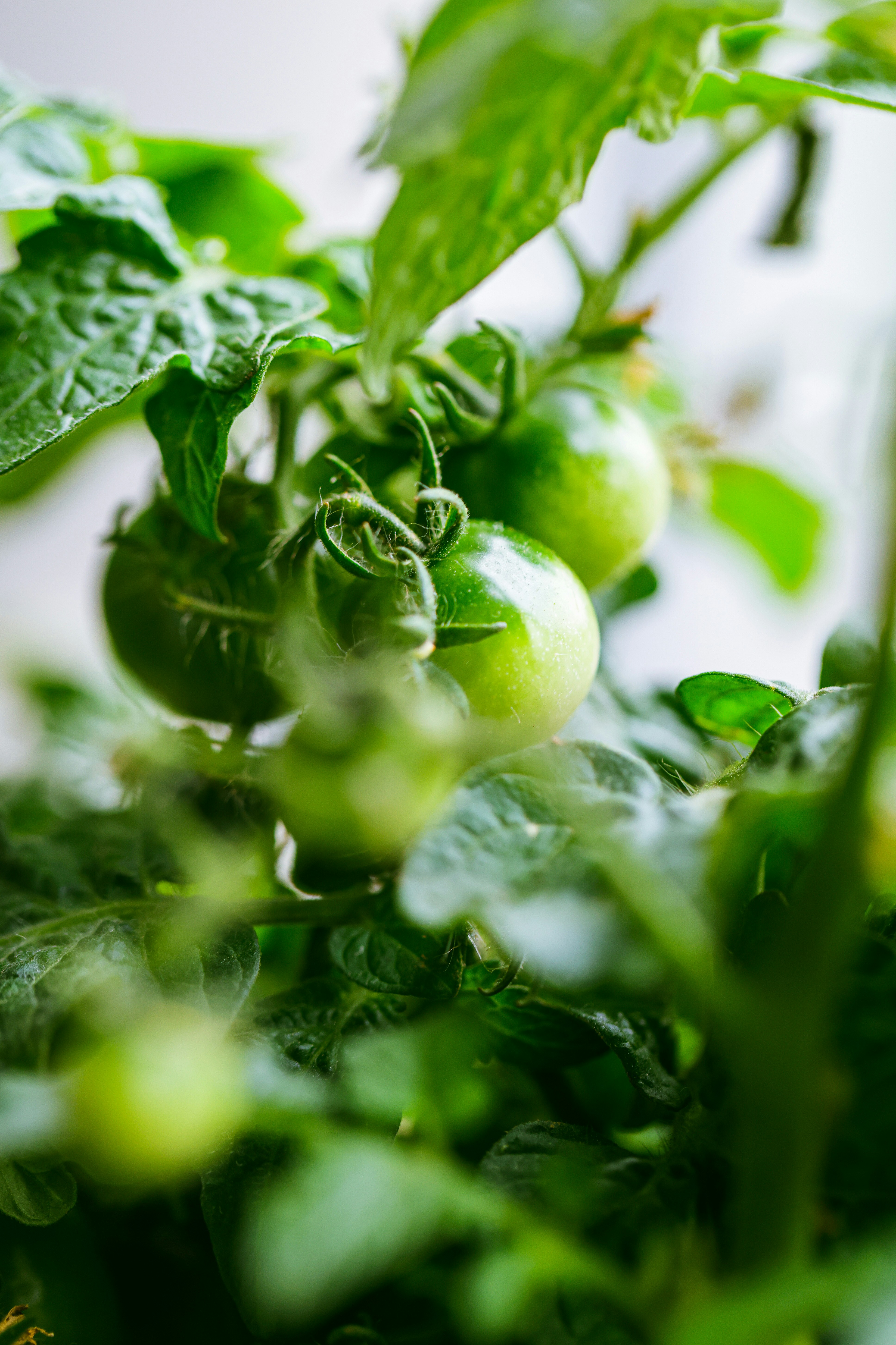 Photo by dickenslin76