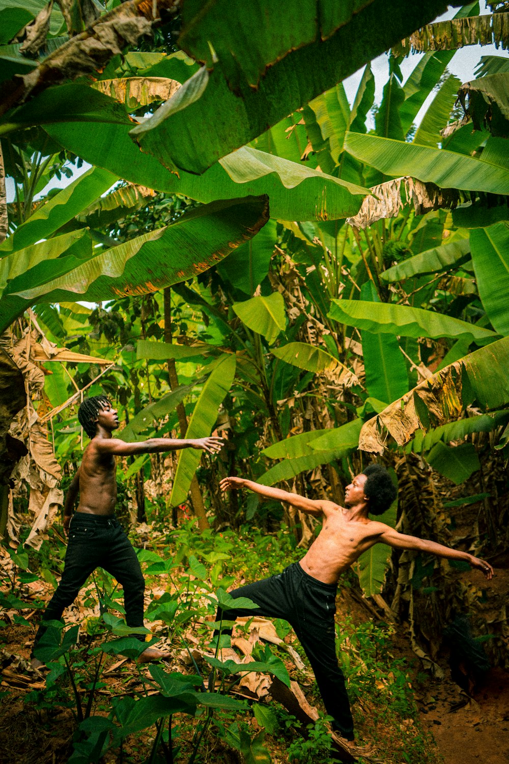 a couple of men standing on top of a lush green forest