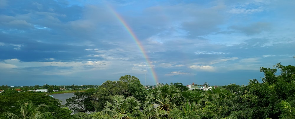 a rainbow in the sky over a lush green forest