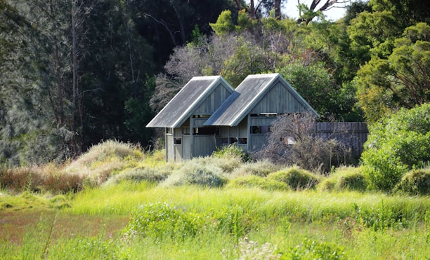 A rustic, weathered wooden cabin with two peaked roofs is nestled among dense greenery and lush grasses. The cabin is surrounded by tall trees and bushes, creating a secluded and serene atmosphere.