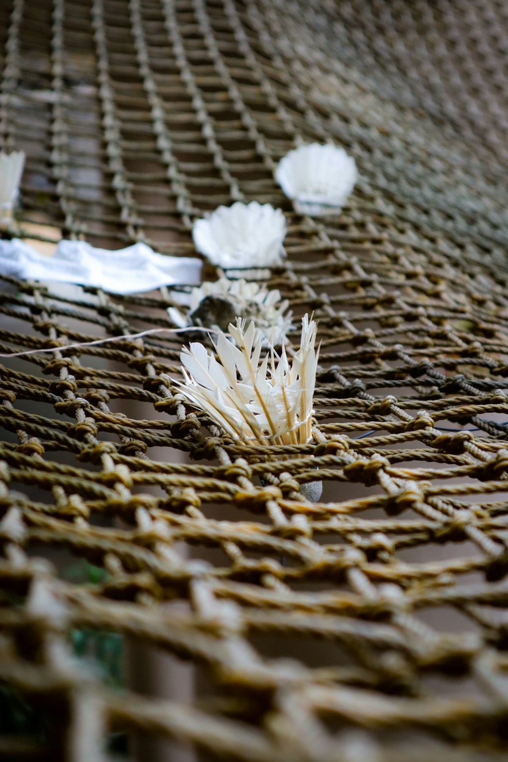 a bunch of flowers that are on a table