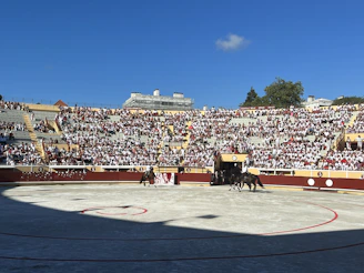 Elegant VIP guests watching the running of the bulls from a private balcony overlooking the route.