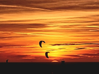 A vibrant sunset over the ocean with kiteboarders gliding across the water, showcasing the thrill of the sport.