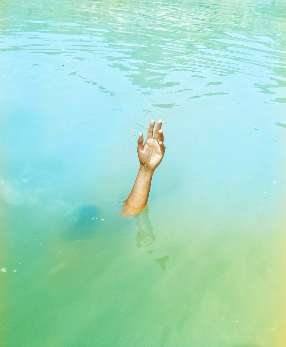 a hand reaching out of the water to catch a frisbee