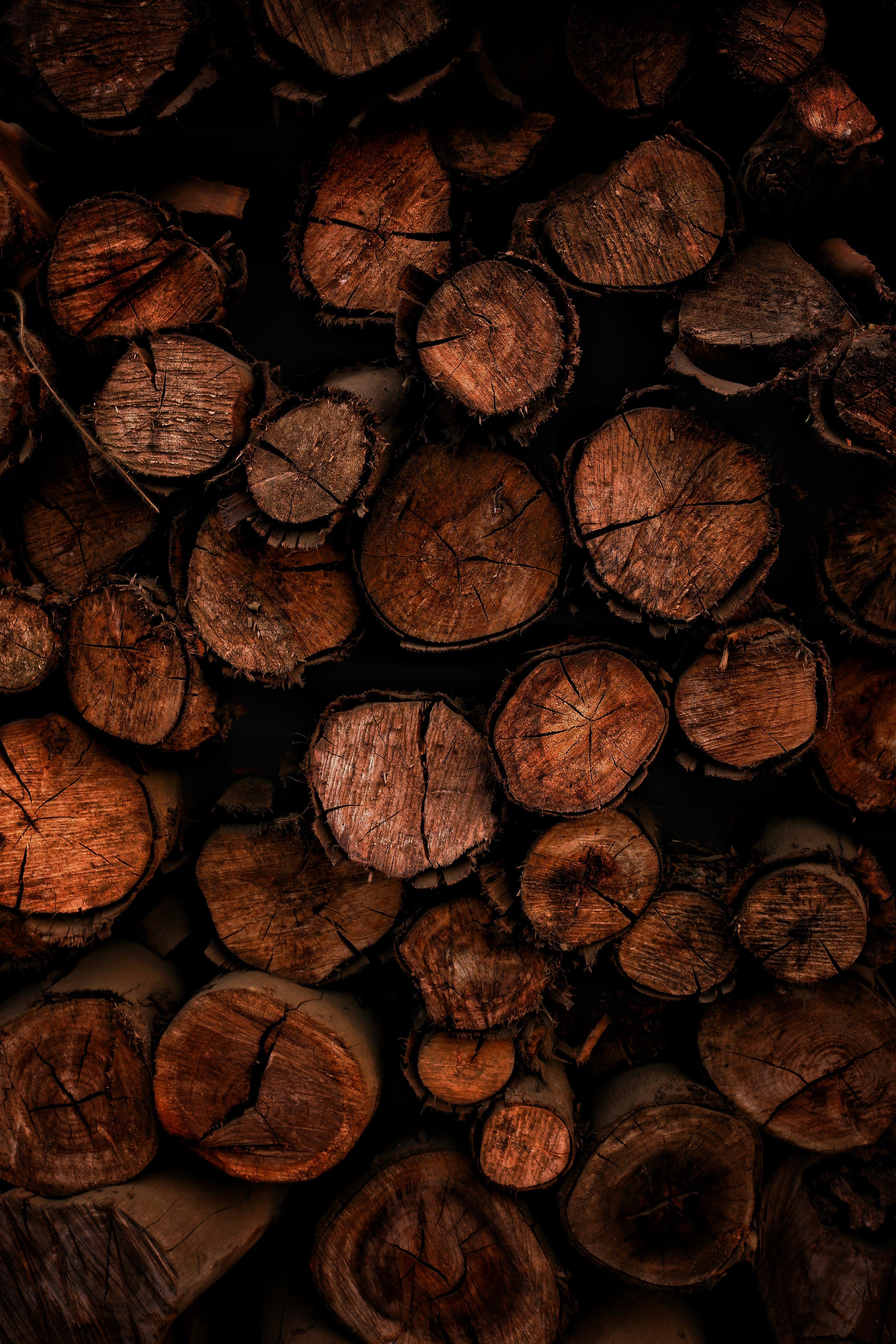 Photo by kaushtubhhhh