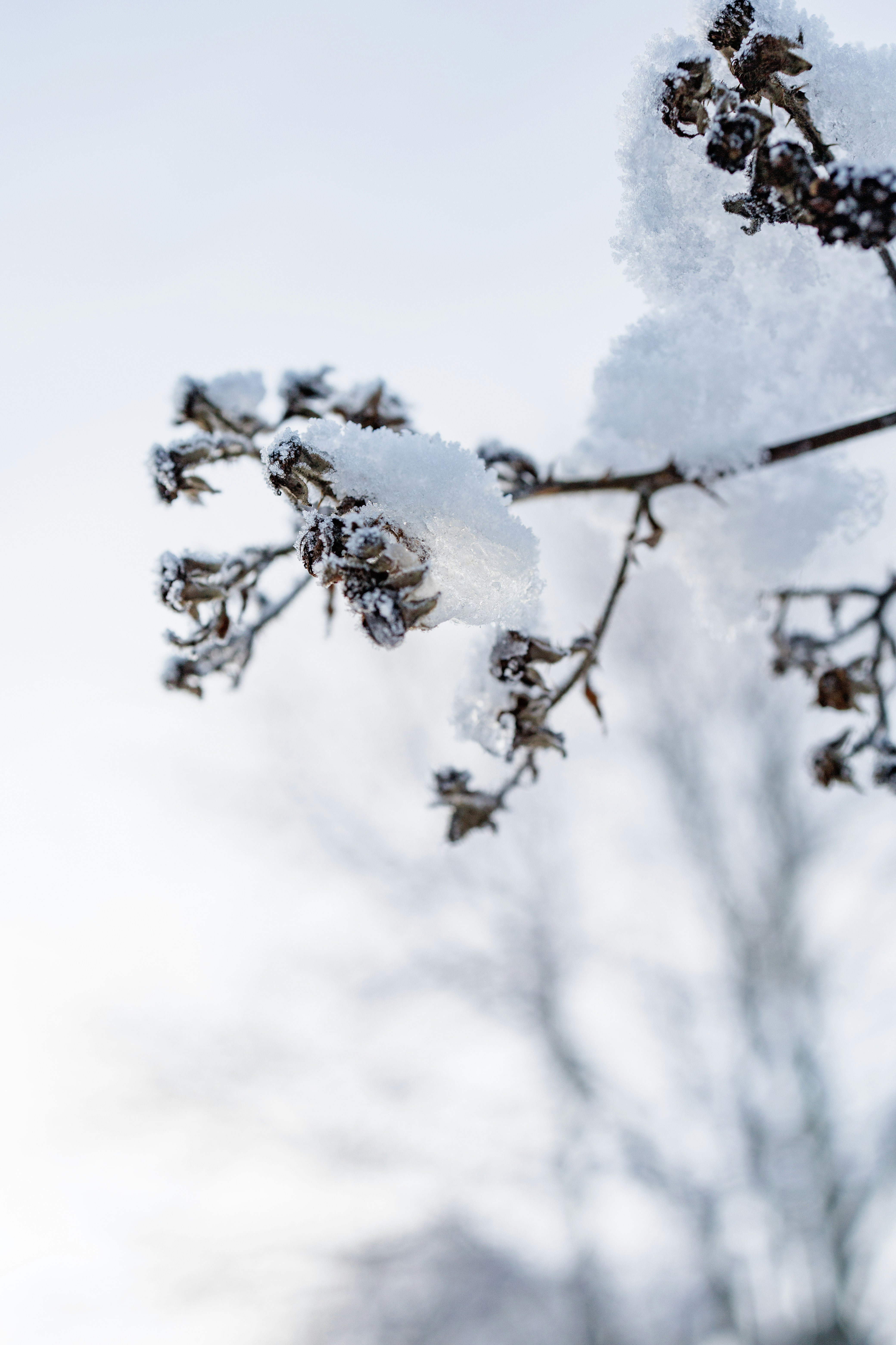 Photo by grievek1610begur