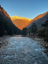 A serene mountain landscape in Himachal Pradesh with soft morning light illuminating pine trees and a winding river.