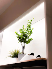 A bright, minimalist display of Nestory Luxe’s pots and plants arranged on sleek shelves.