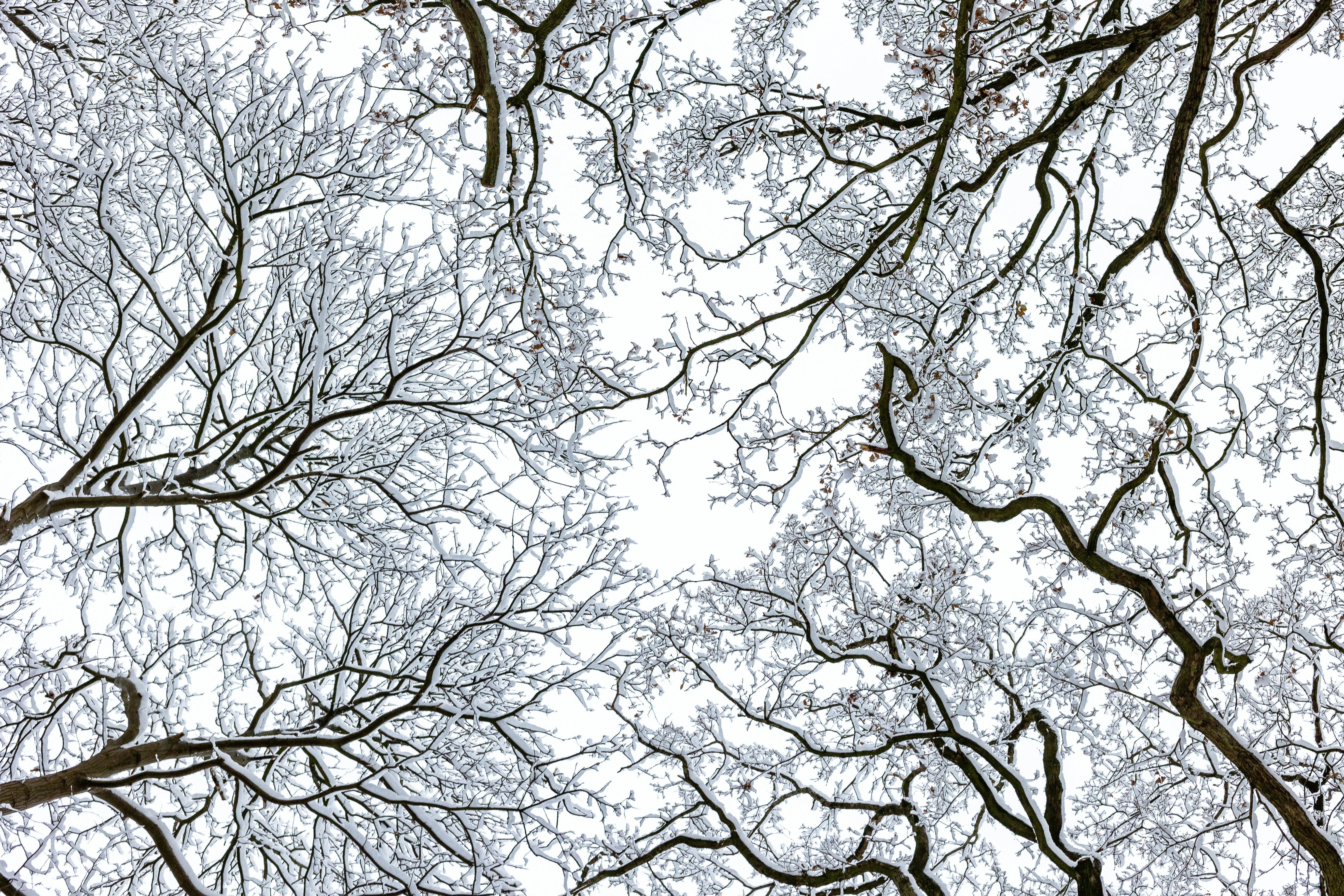 Photo by marvinradke