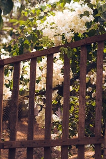 A charming wooden garden fence winding along a flower bed under soft sunlight.