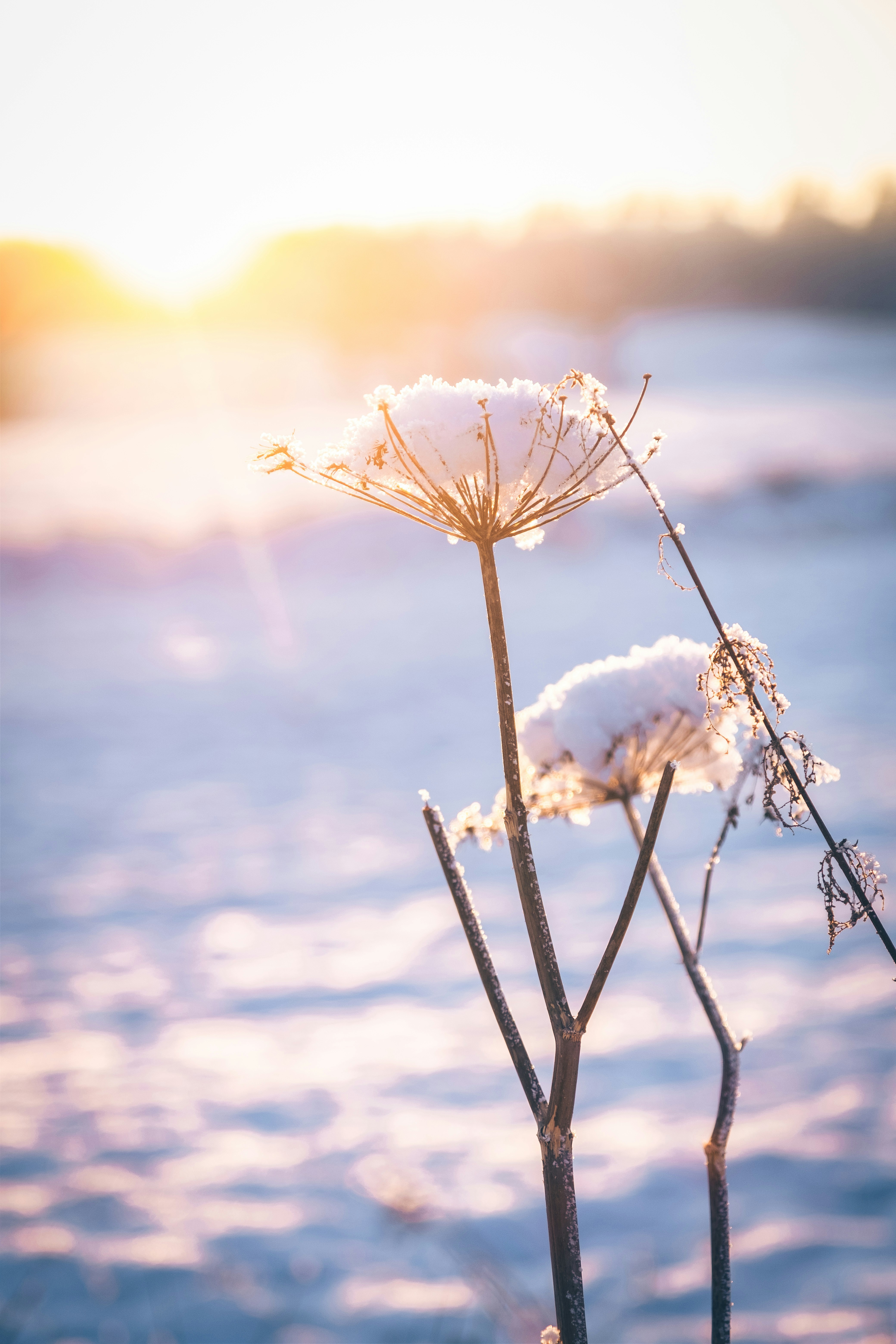 Photo by michaelheld