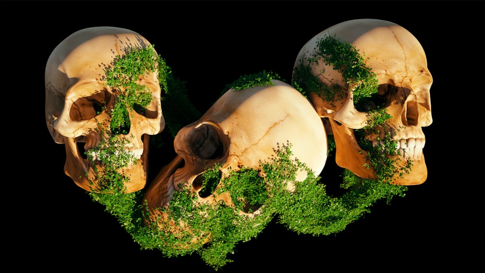 two human skulls with plants growing out of them