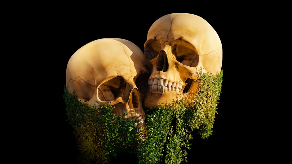a couple of skulls sitting on top of a lush green plant