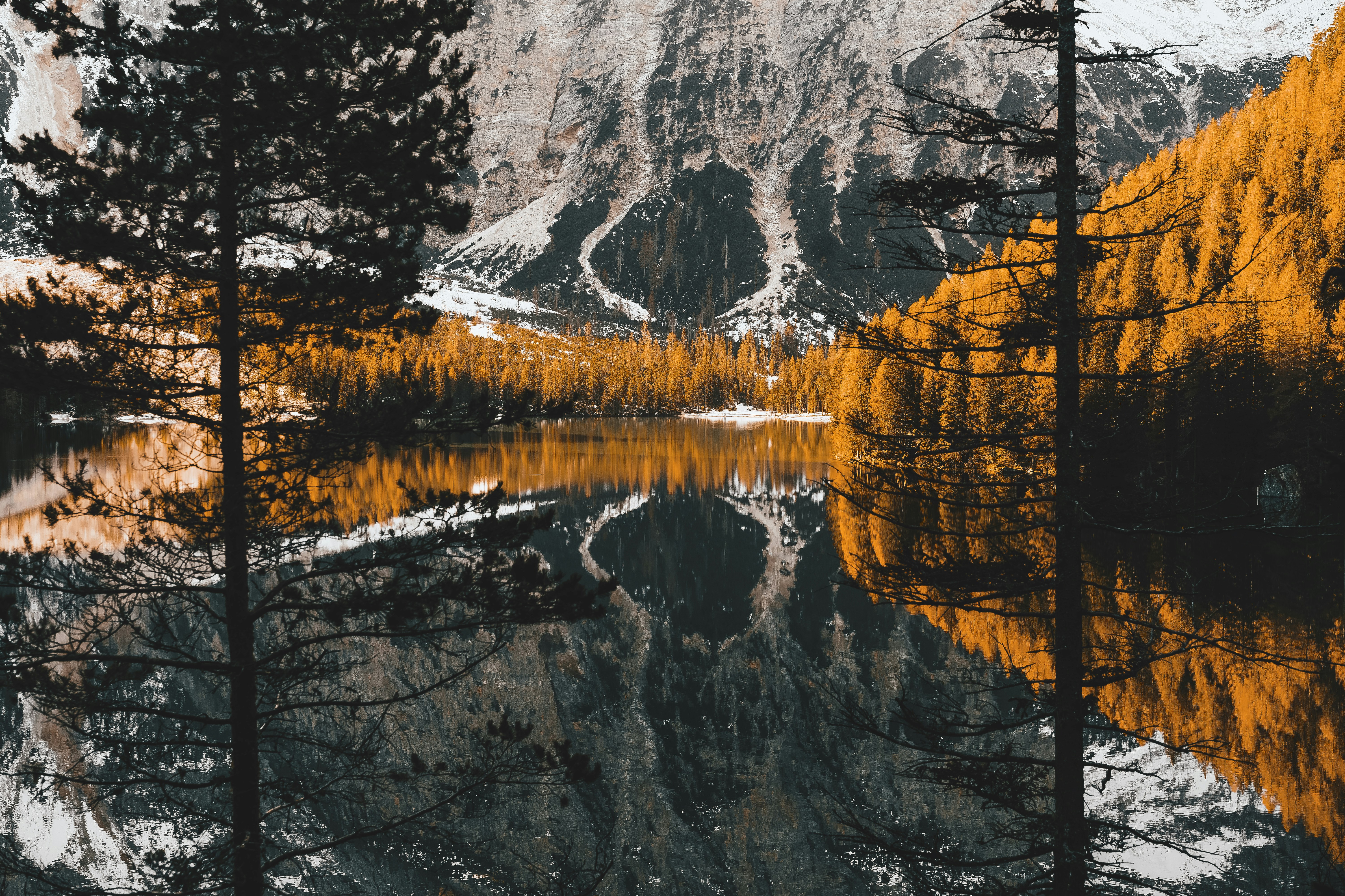 a lake surrounded by trees with a mountain in the background