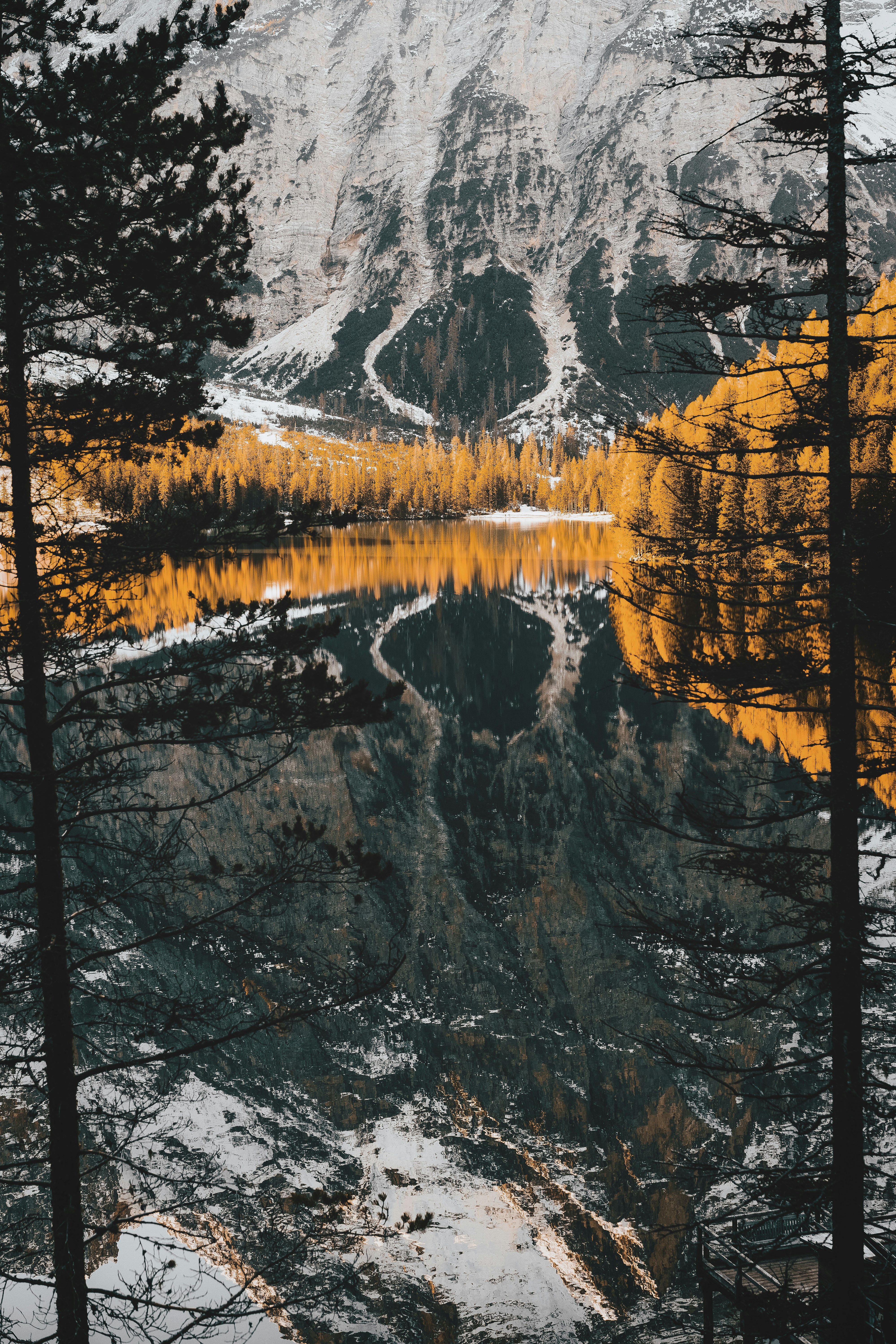 a lake surrounded by trees with a mountain in the background