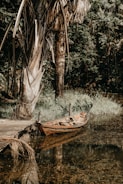 A gently swaying used boat moored beside a wooden pier with palm trees.