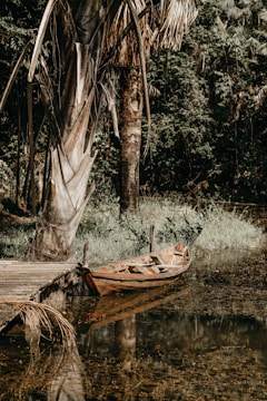 A gently swaying used boat moored beside a wooden pier with palm trees.