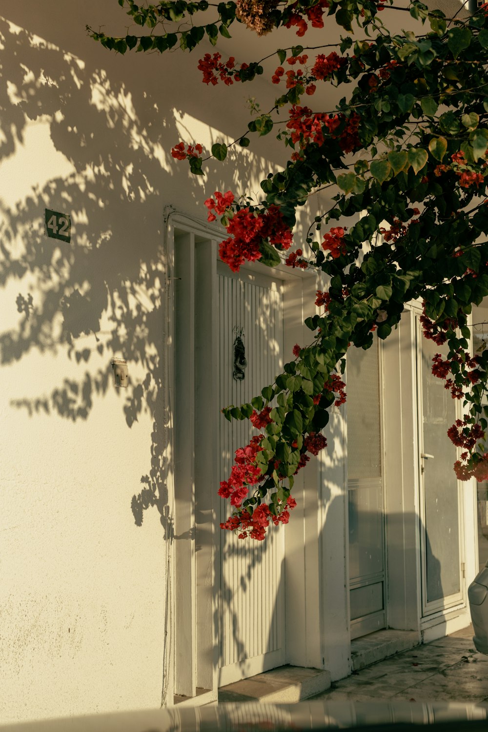 a white building with red flowers on it