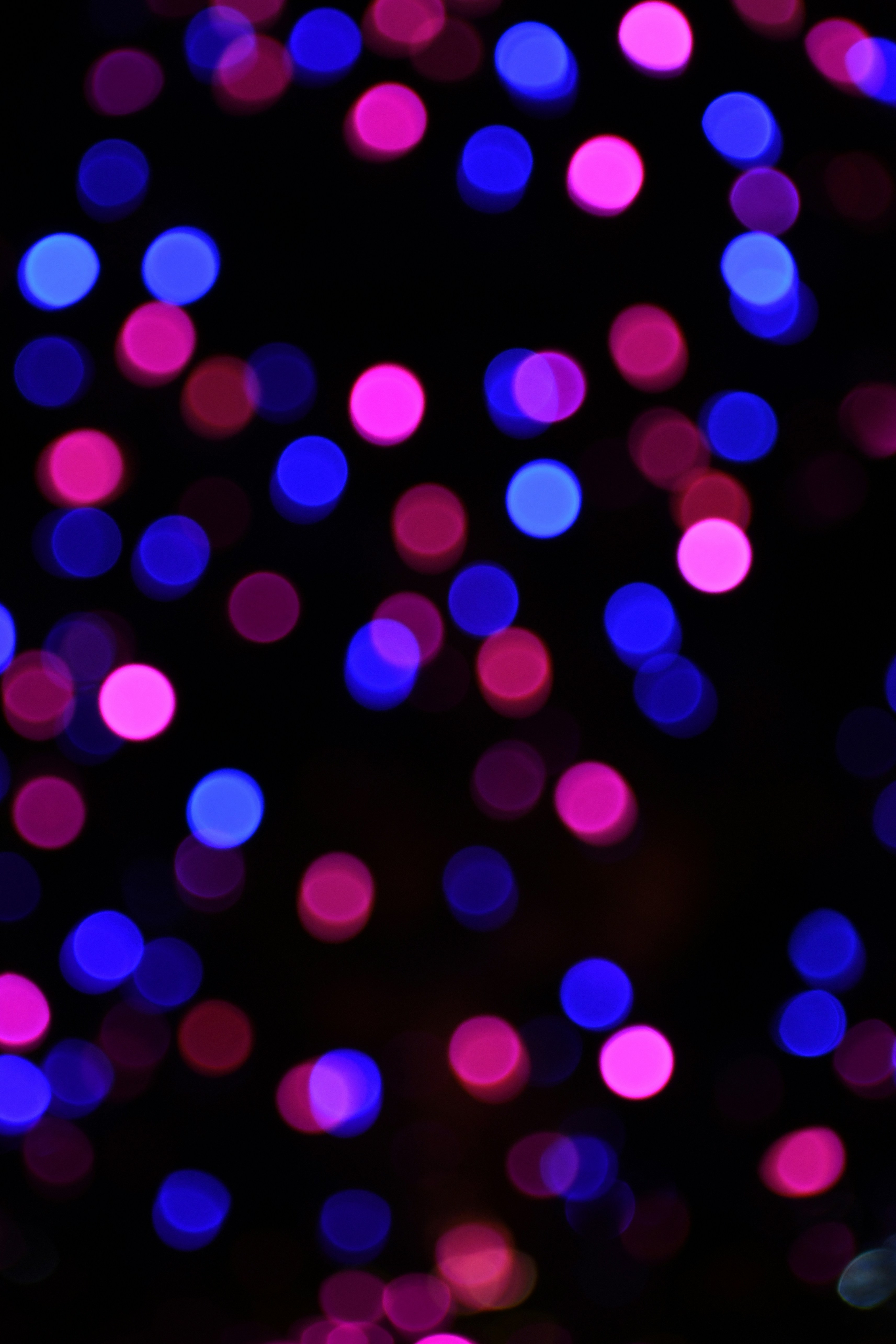 Photo by suncrest_photographer