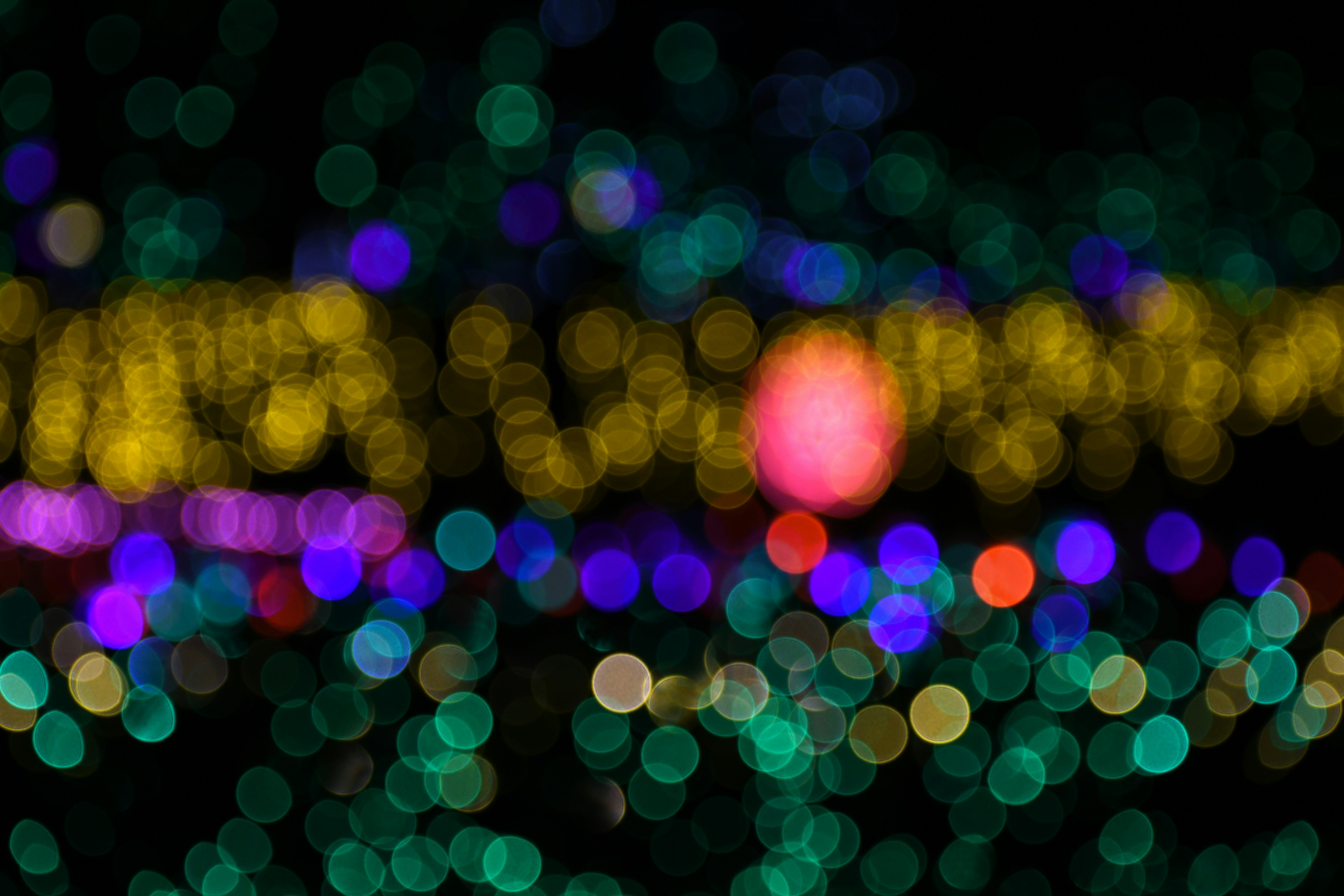 Photo by suncrest_photographer