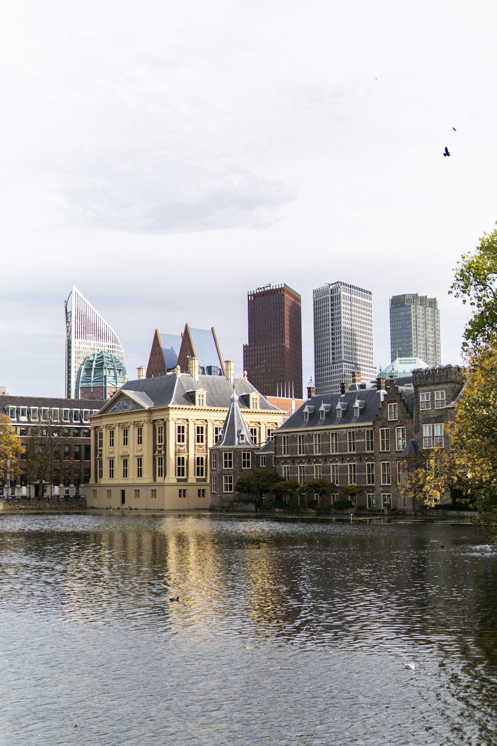 a large body of water with buildings in the background