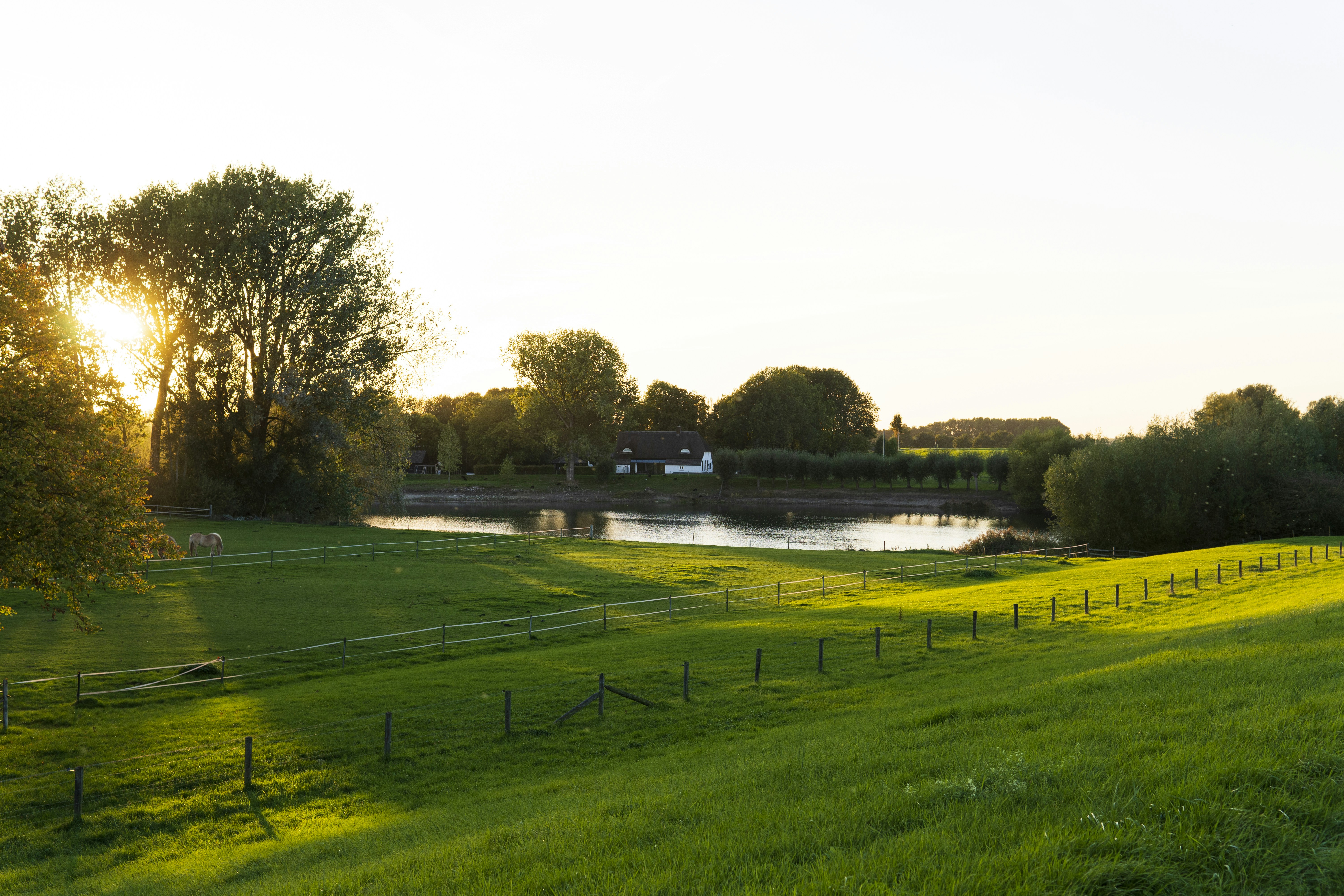 Photo by lidianemiroff