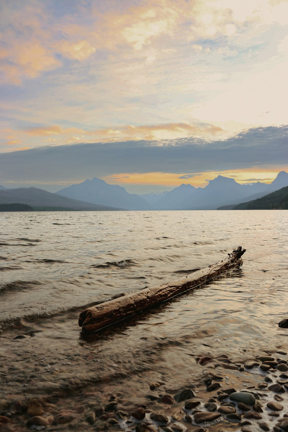 a log laying on the shore of a lake