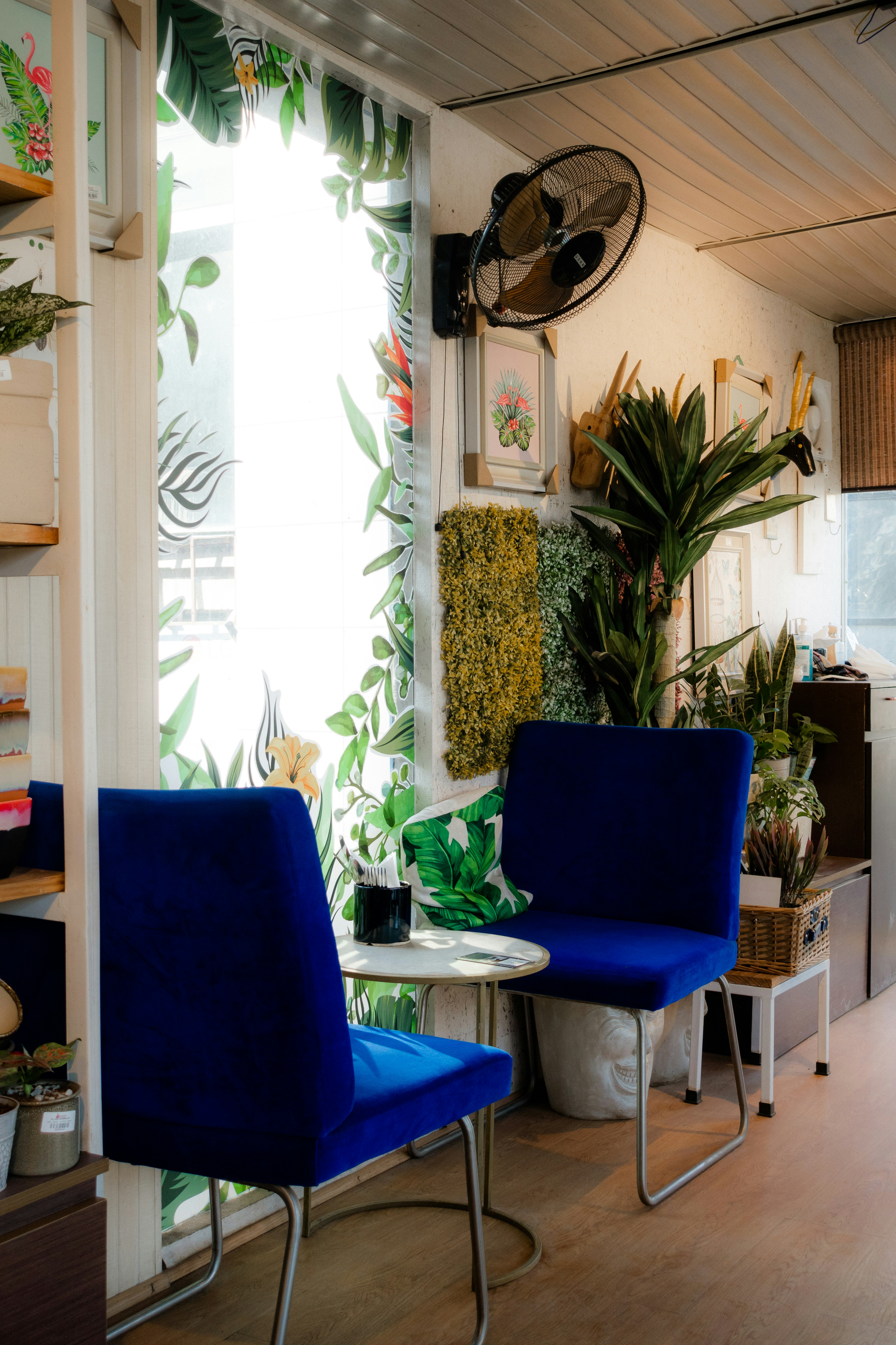 Photo by pramodtiwari