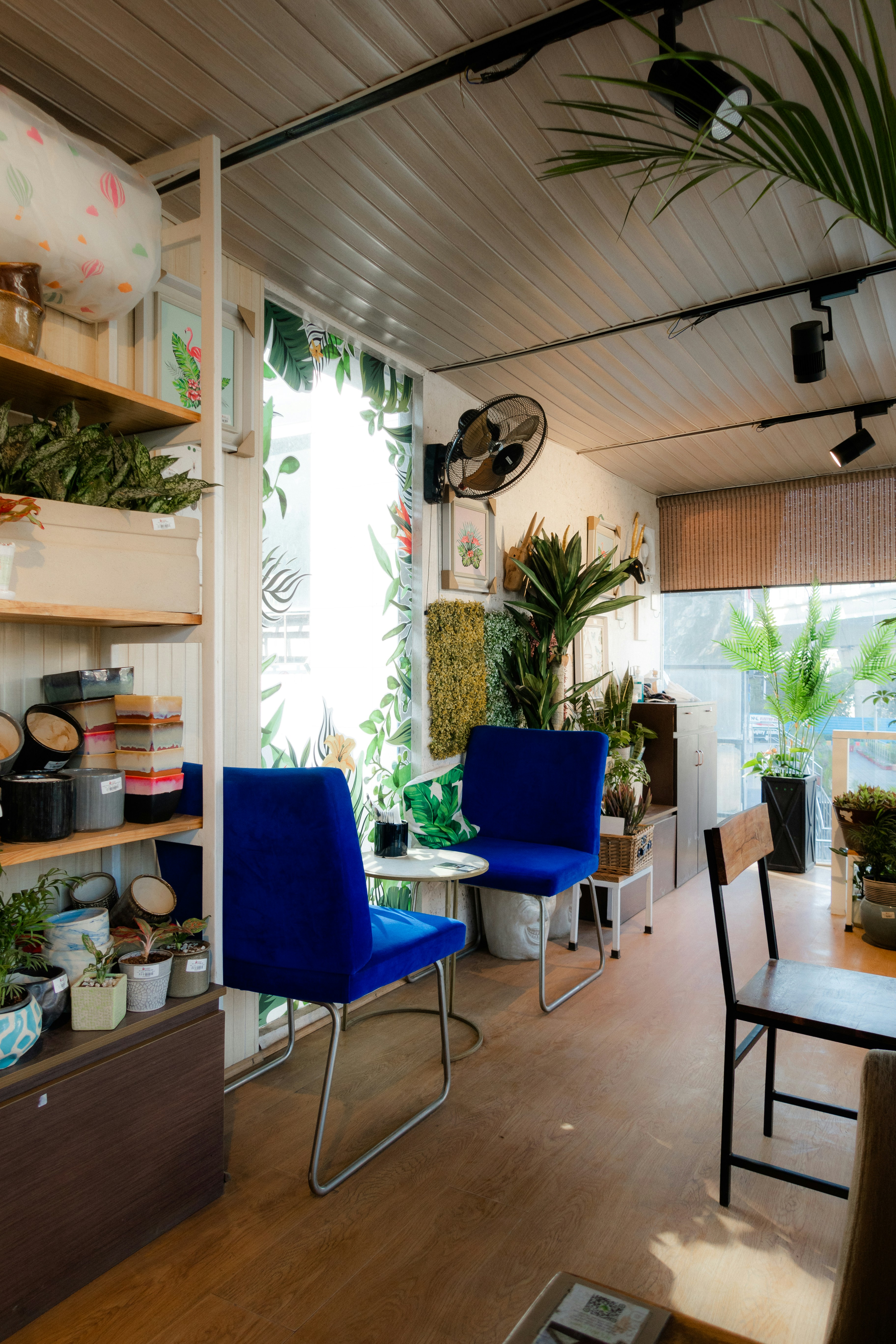 Photo by pramodtiwari