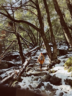 a man walking up a snow covered path in the woods
