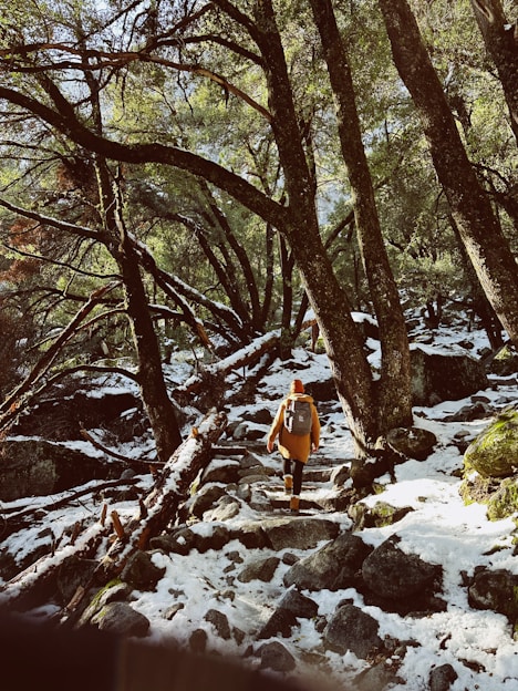 a man walking up a snow covered path in the woods