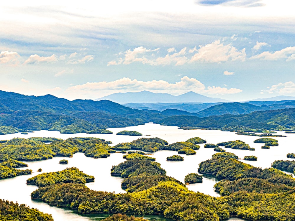 an aerial view of a lake surrounded by trees