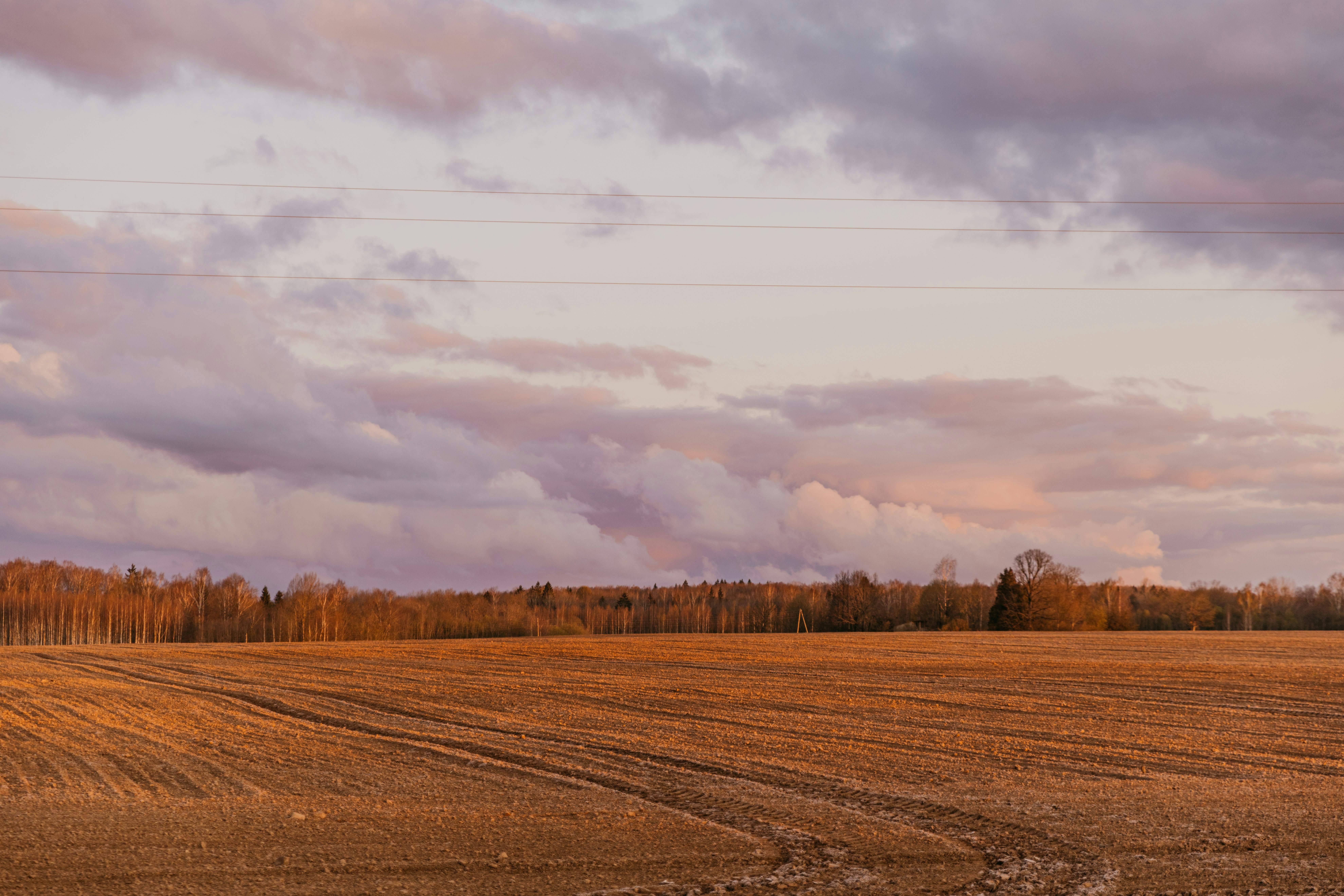 Photo by anitaaustvika