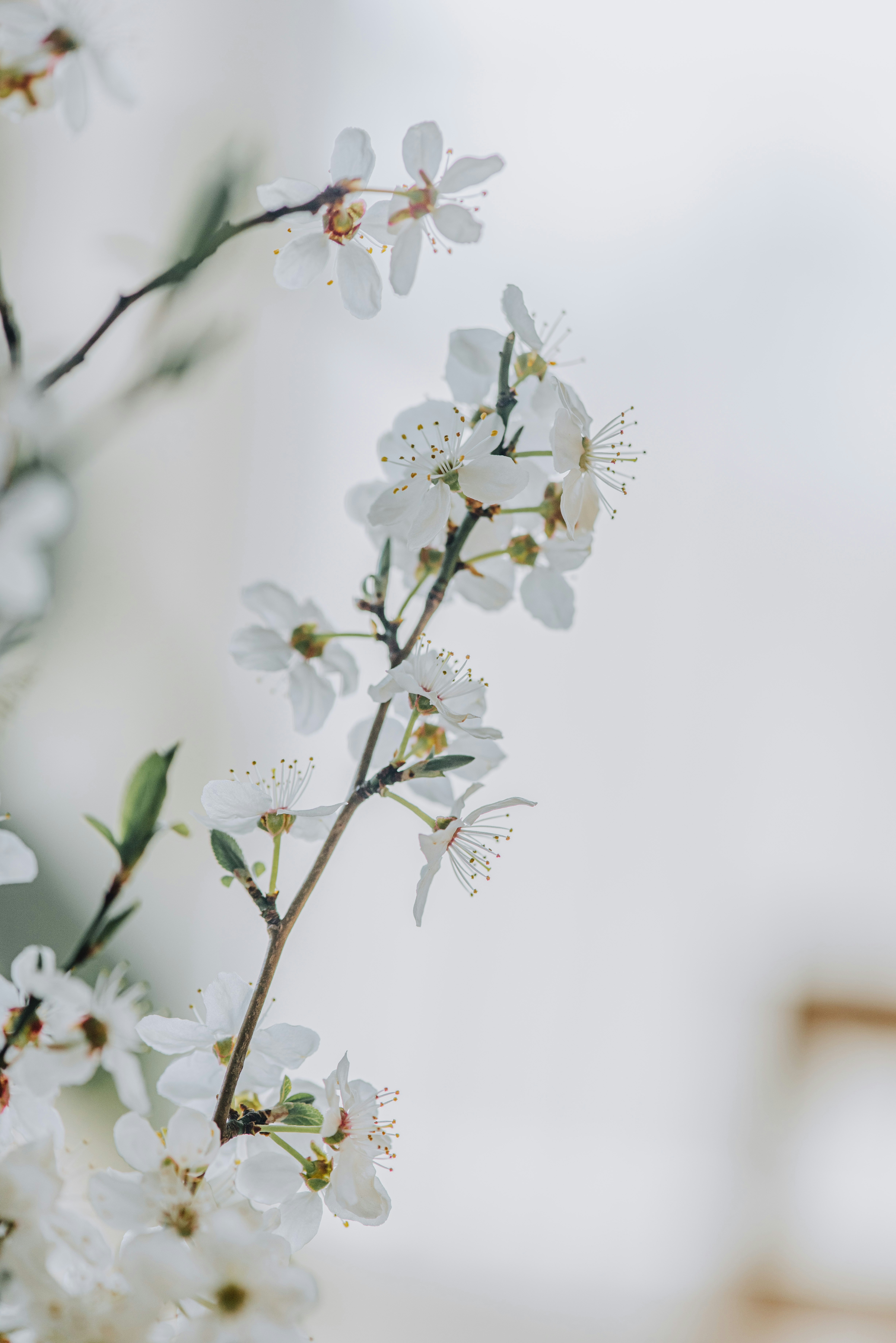 Photo by anitaaustvika