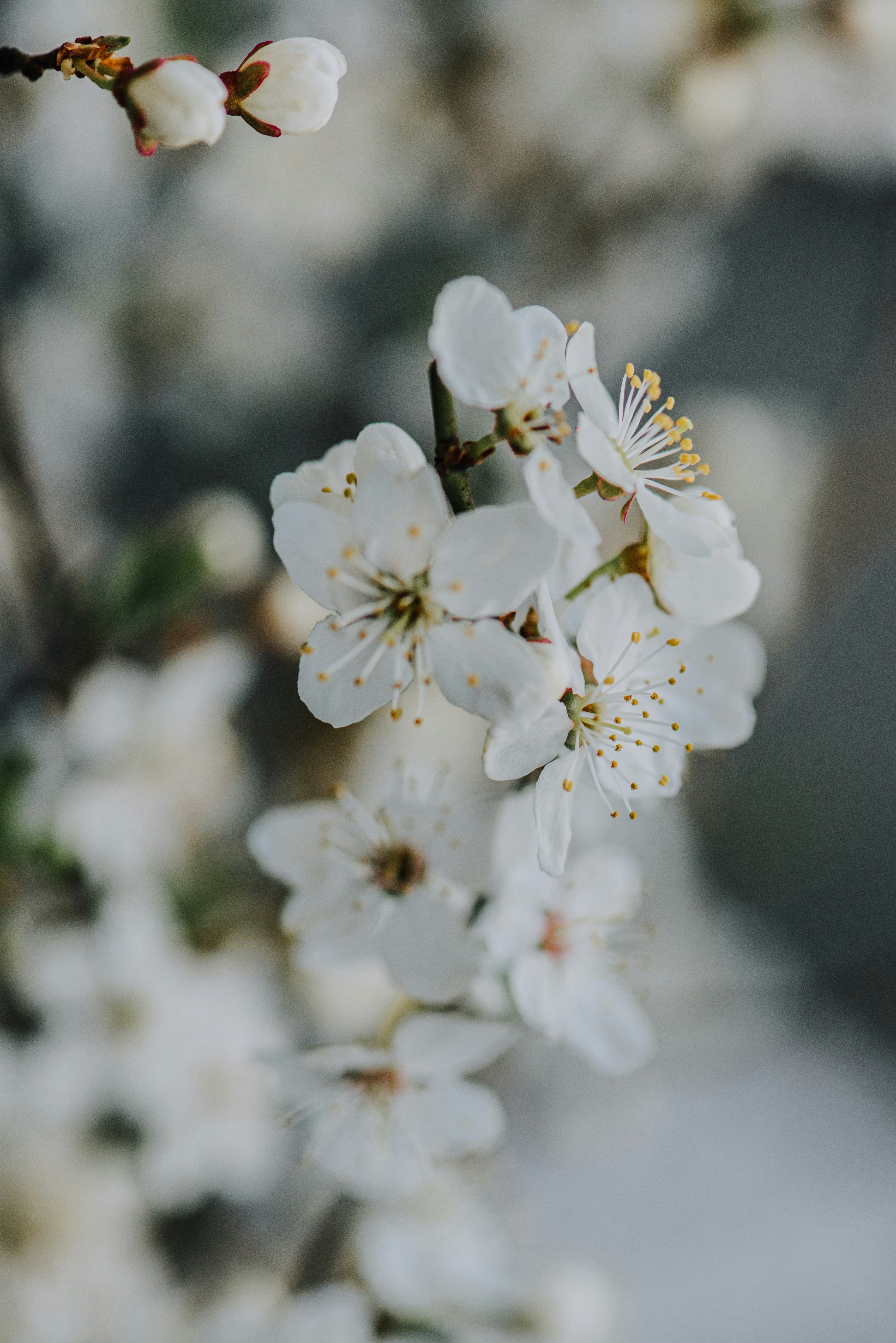 Photo by anitaaustvika