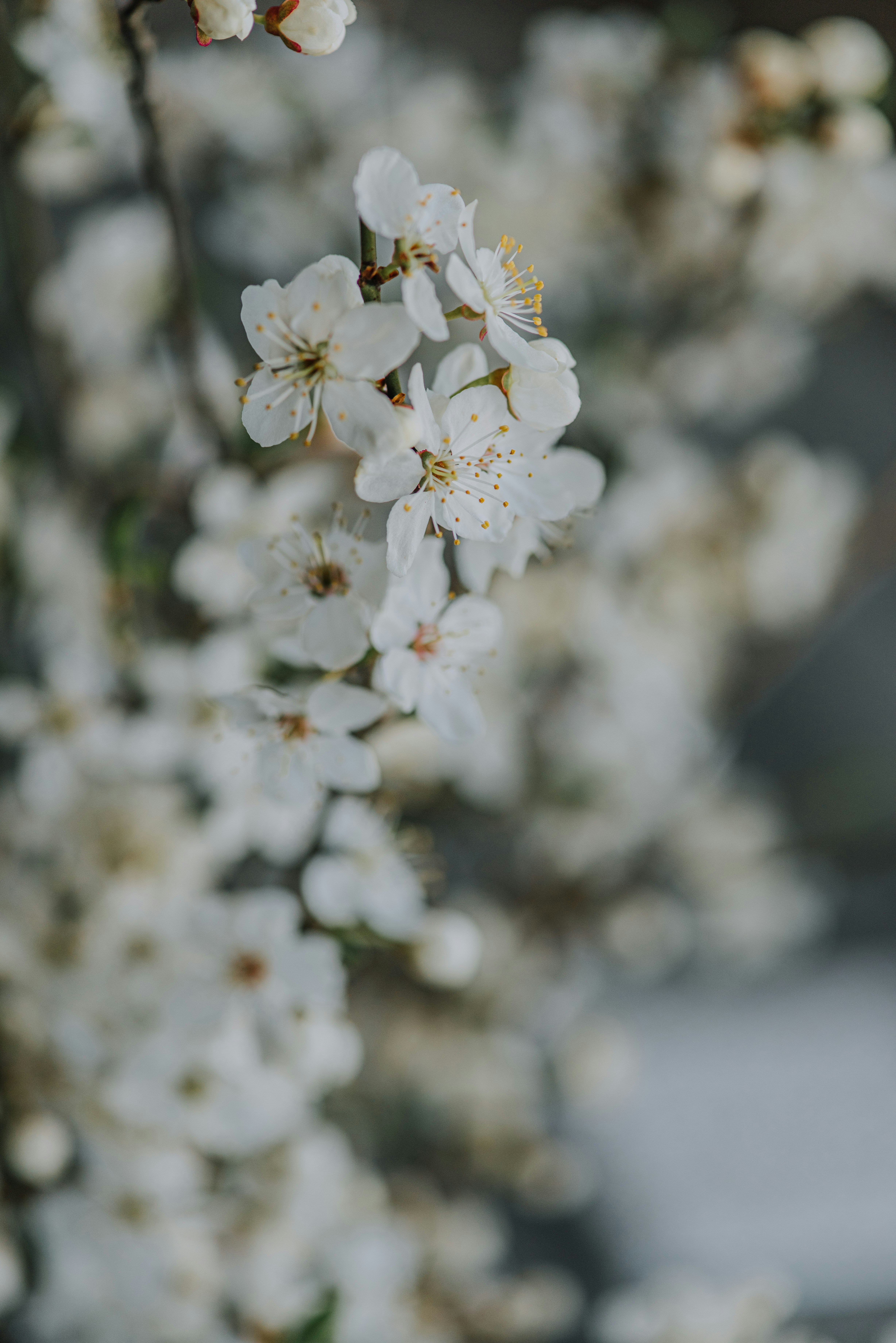 Photo by anitaaustvika