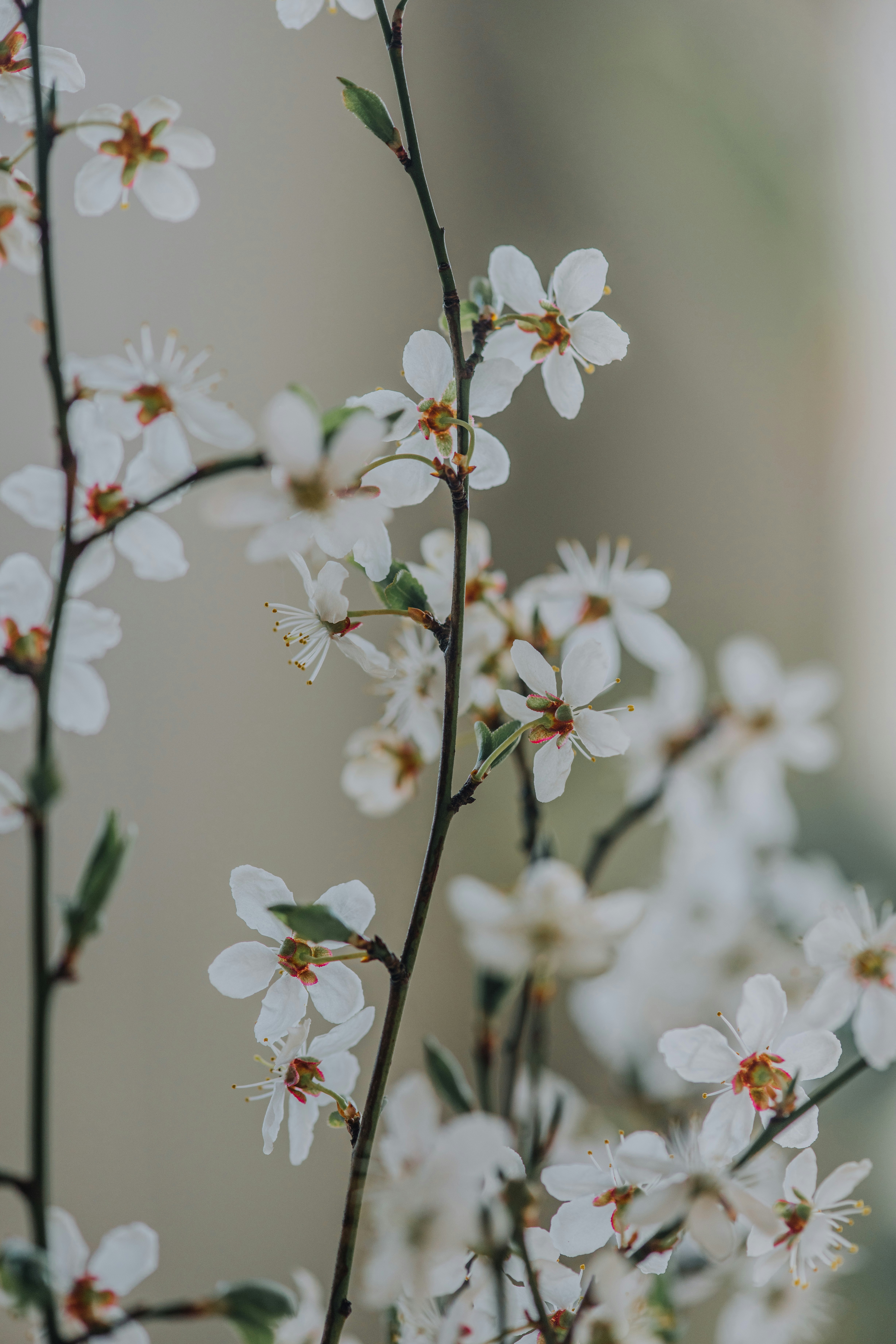 Photo by anitaaustvika