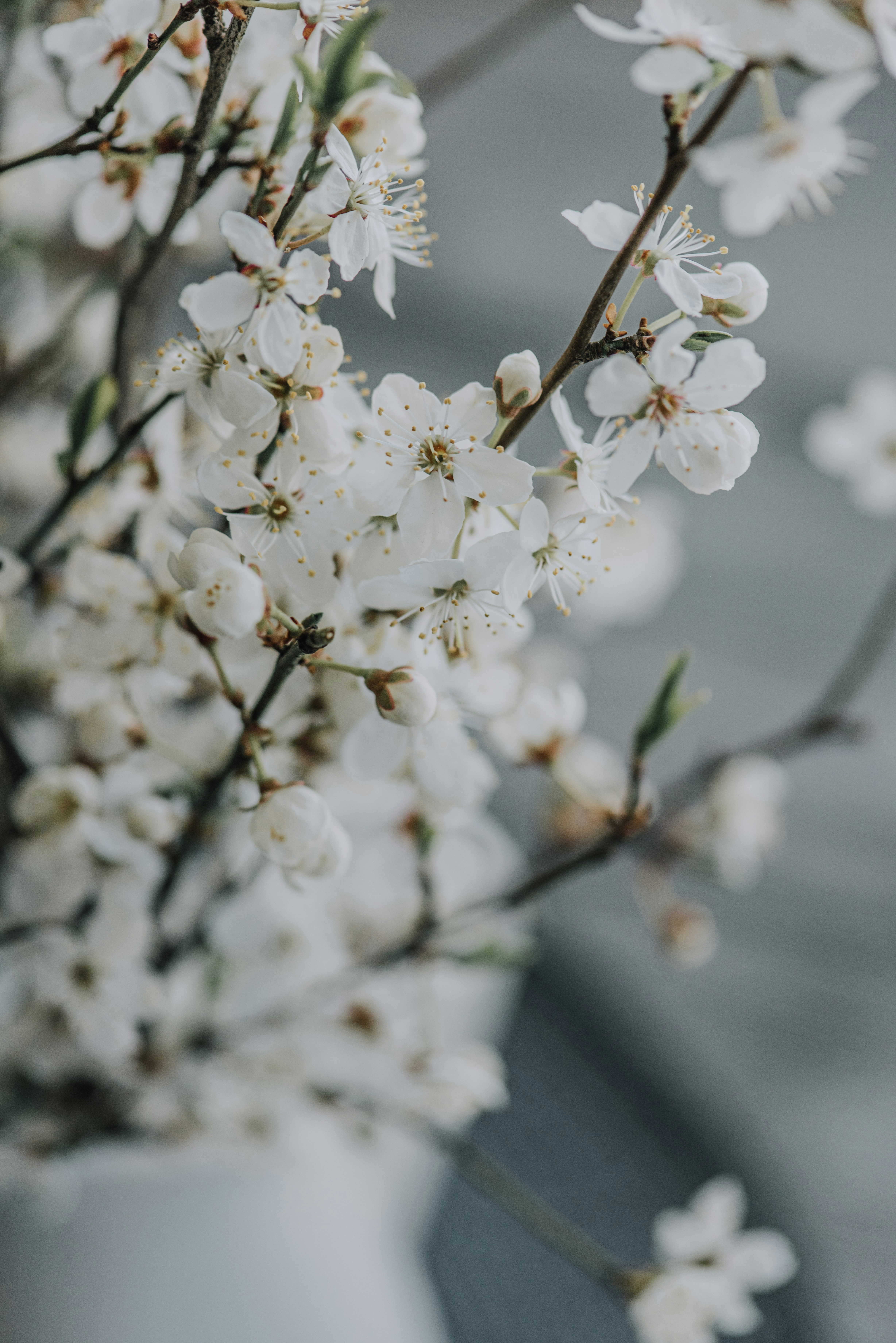 Photo by anitaaustvika