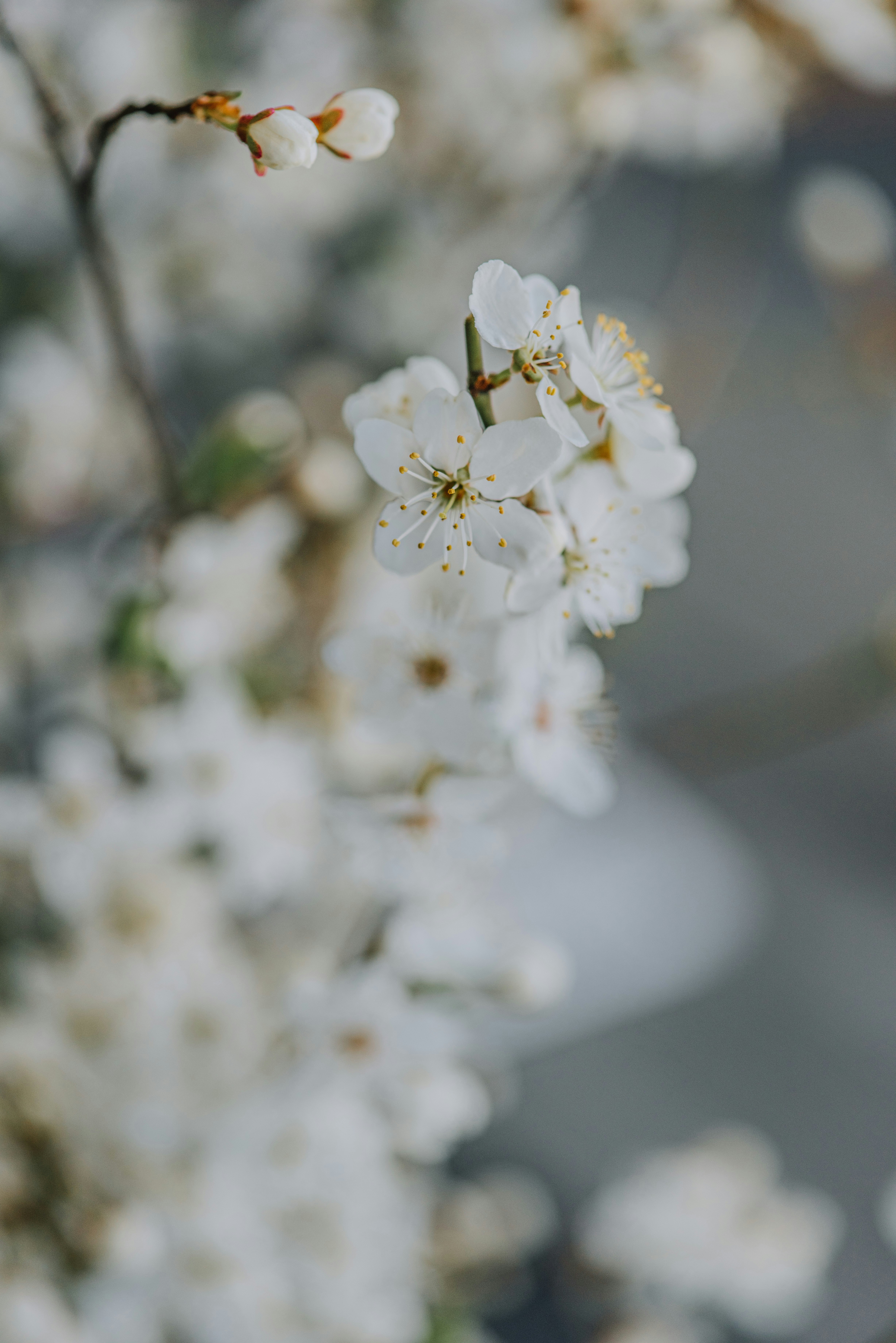 Photo by anitaaustvika