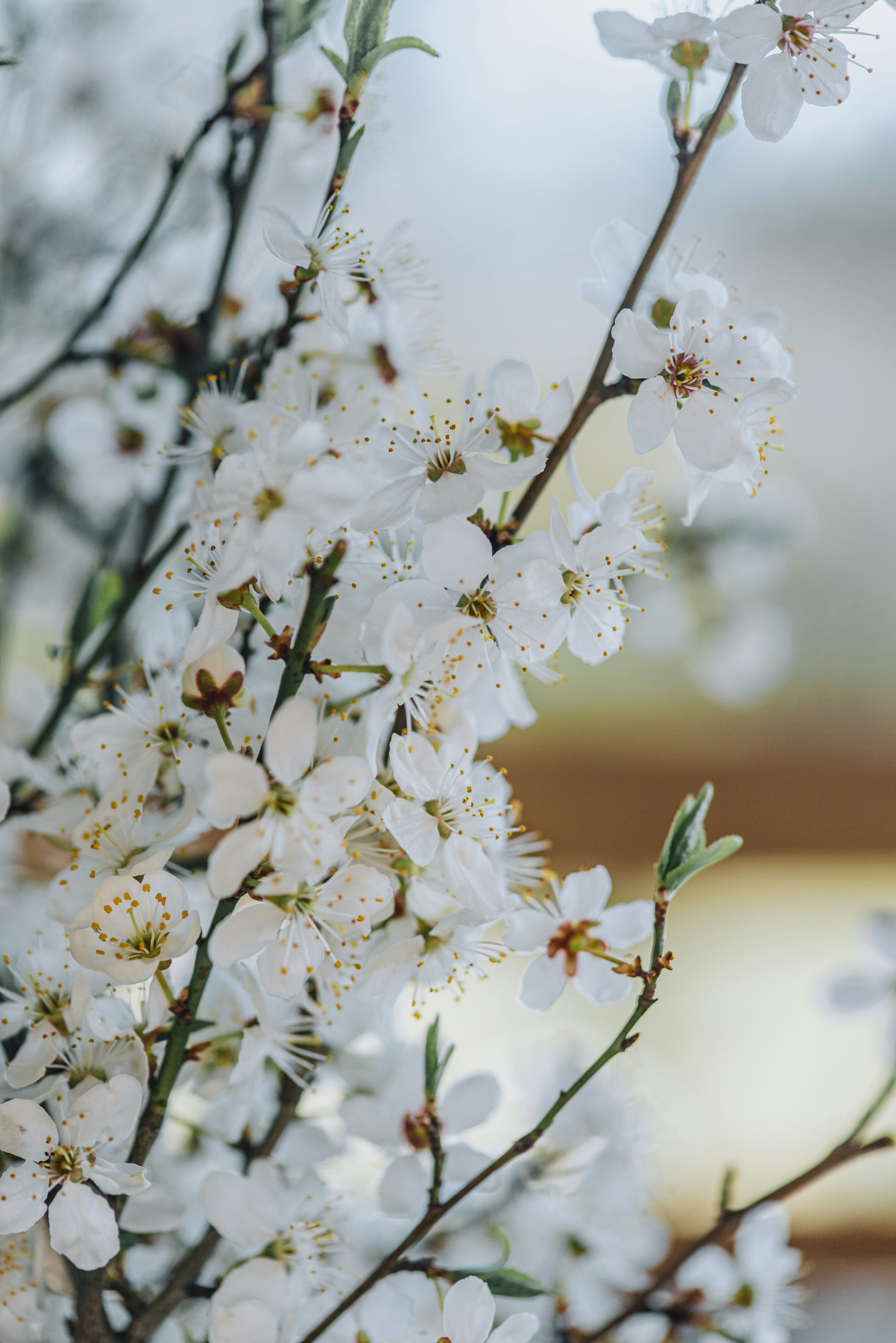 Photo by anitaaustvika