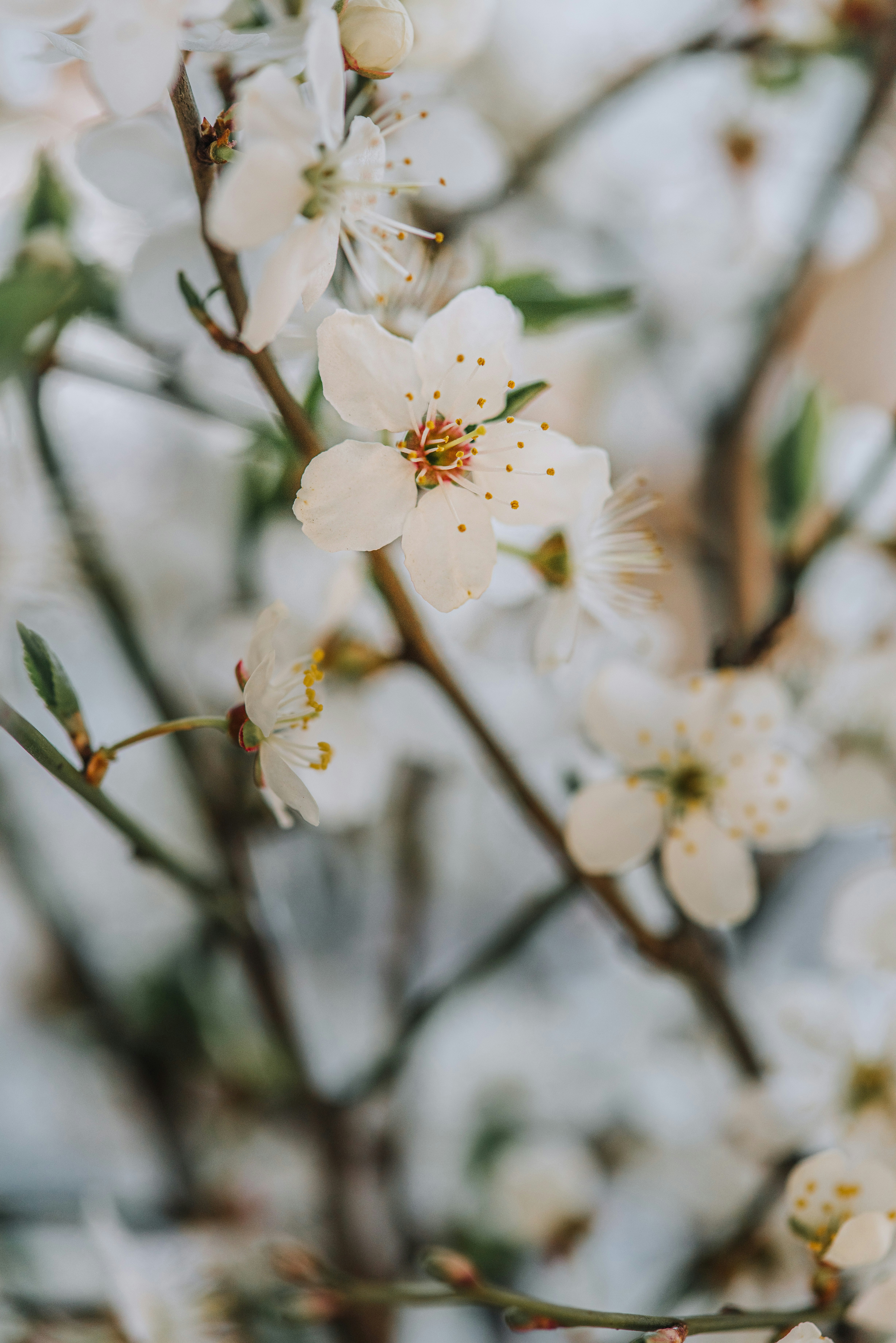 Photo by anitaaustvika