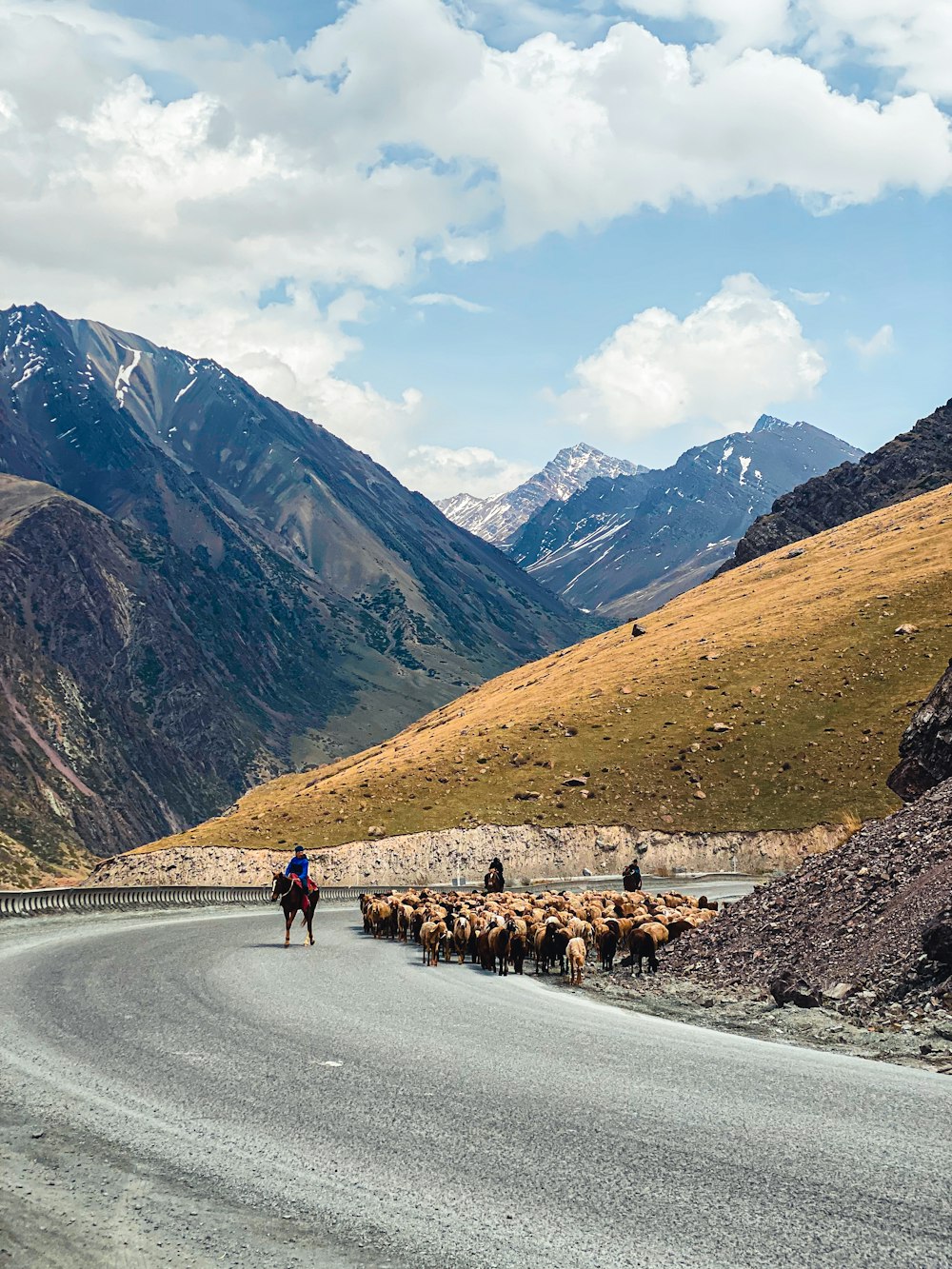a herd of sheep crossing a road in the mountains