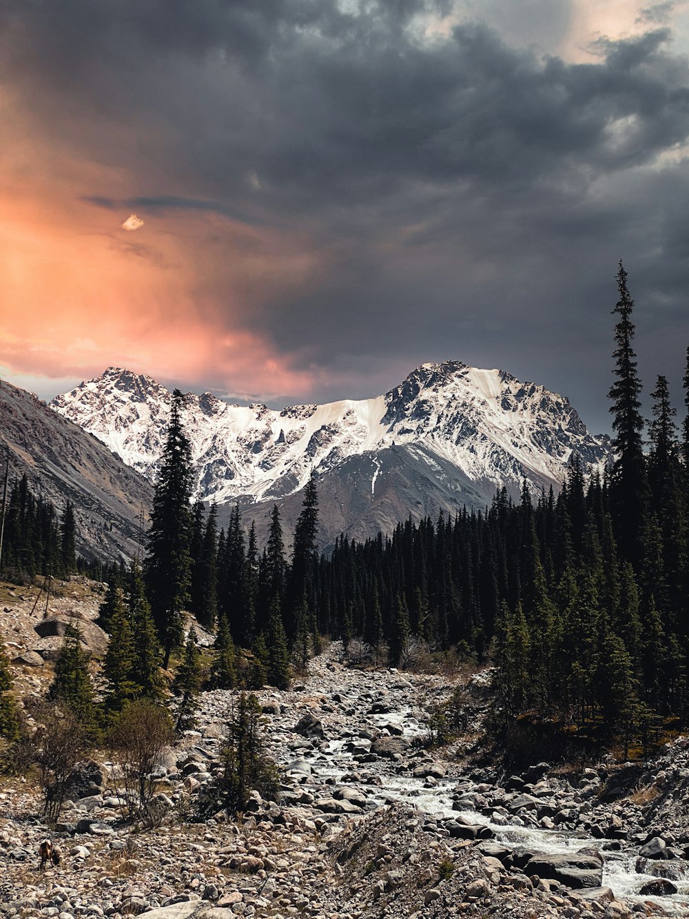 a river running through a forest under a cloudy sky