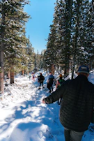 Family hiking along a shaded trail surrounded by towering pine trees.