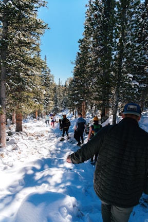 Travelers walking along a snow-covered trail under tall pine trees.