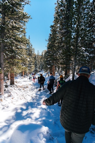 A group of volunteers clearing a forest trail surrounded by towering pine trees under blue skies