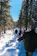A smiling family hiking along a sunlit forest trail surrounded by tall pine trees.