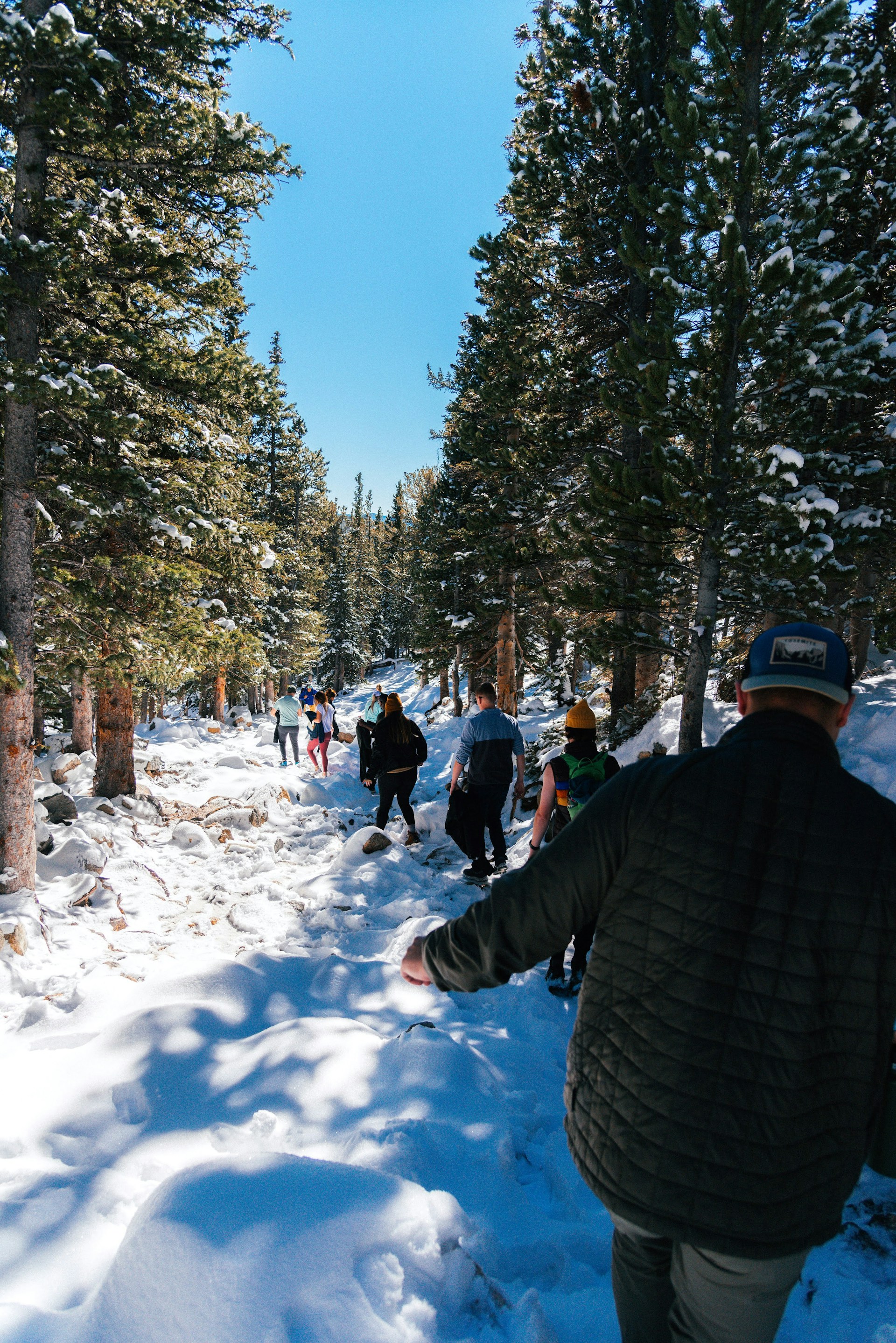 A joyful family hiking together on a sunlit mountain trail, surrounded by tall pine trees and clear blue skies.