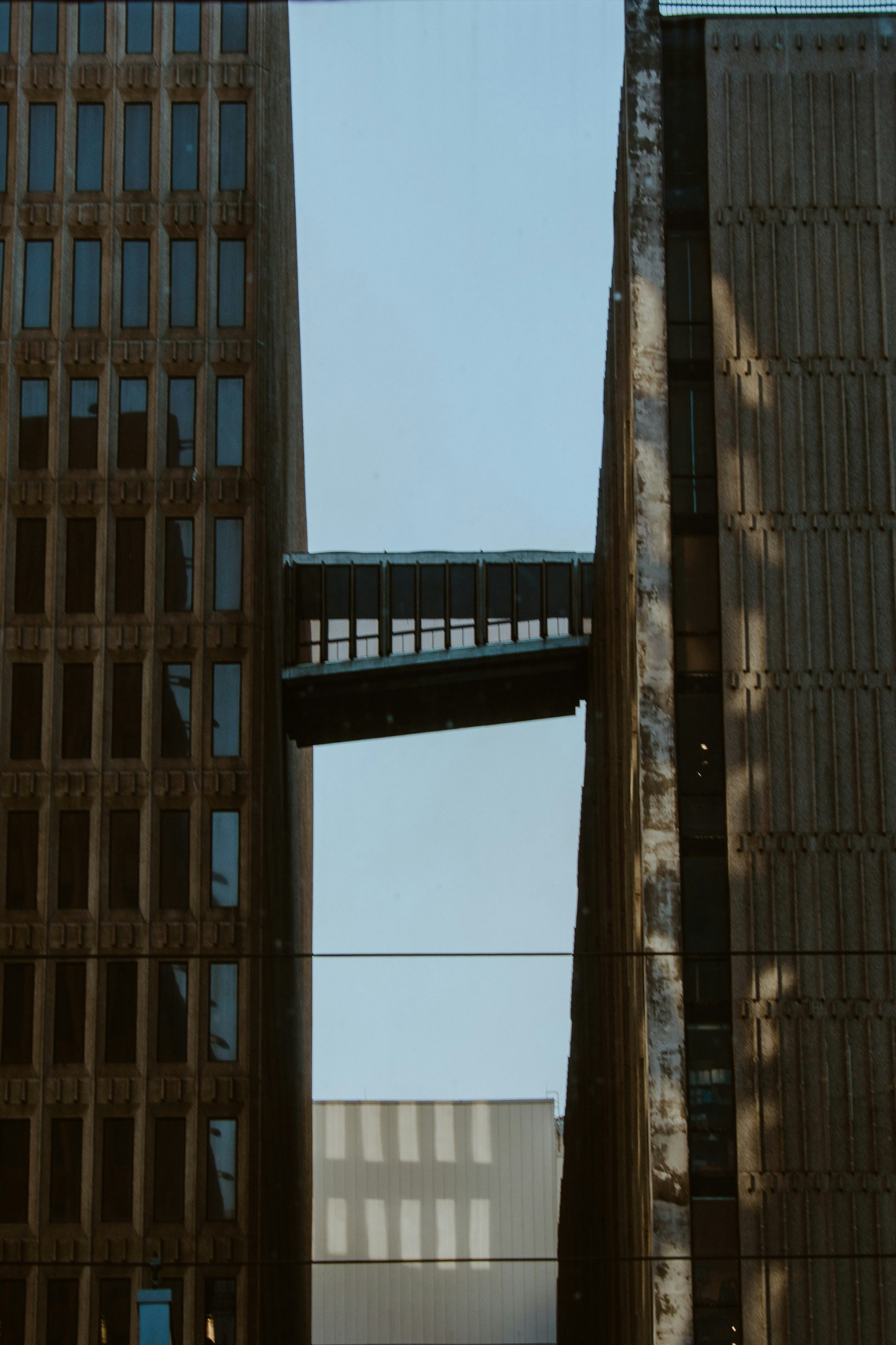 Photo by brice_cooper18