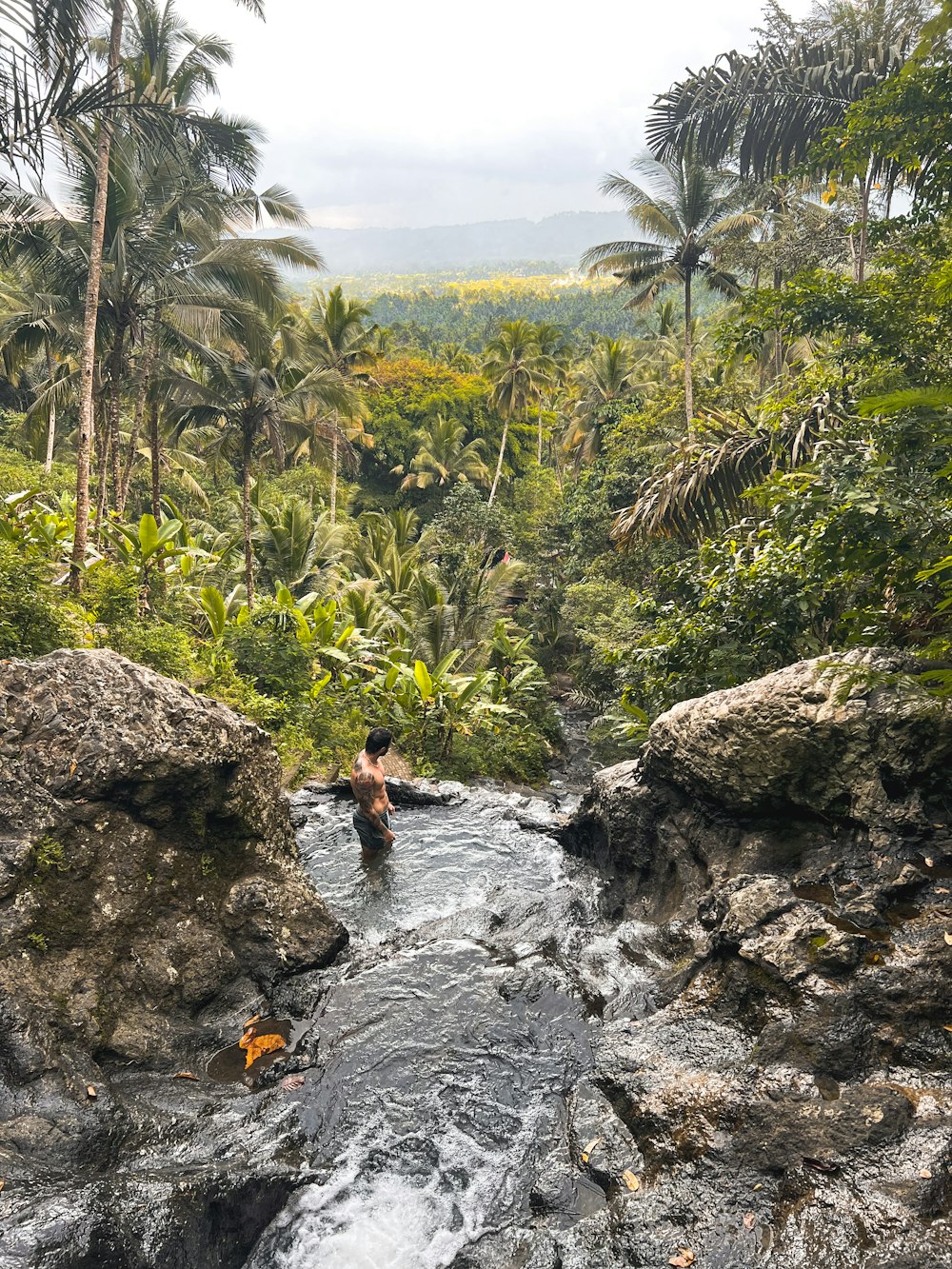 a man standing in a river surrounded by palm trees